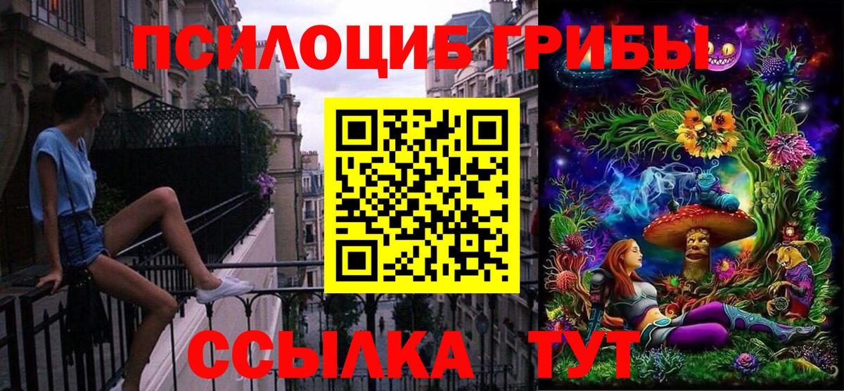 Псилоцибиновые грибы MAGIC MUSHROOMS  как найти наркотики  Троицк  Вход с VPN 